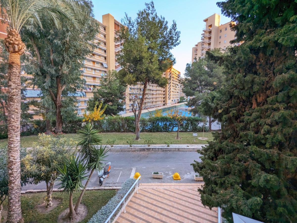 Bruselas 23 Alicante Exterior photo